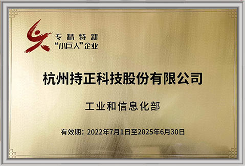 專精特新小巨人企業(yè)